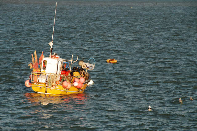 Fishing boat in Lyme Regis Lisa Cox Garden Designs