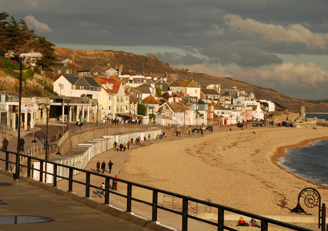 Lyme Regis bay Lisa Cox Garden Designs