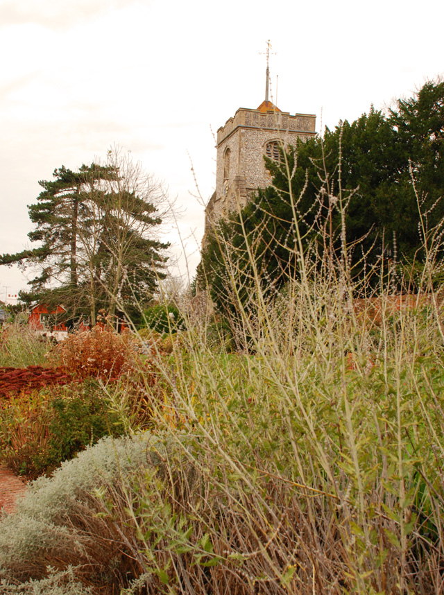 St Marys Church garden Leatherhead Lisa Cox Designs