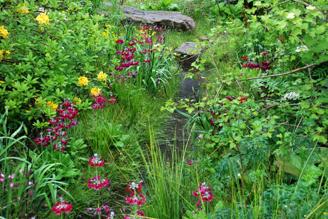 Planting in Laurent Perrier Garden RHS Chelsea 2015 Lisa Cox