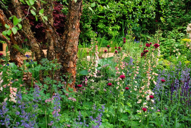 The M&G Garden 2015 RHS Chelsea Lisa Cox