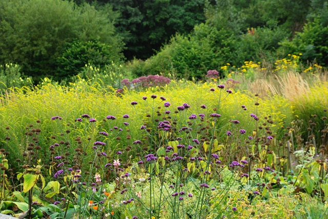 Research plots at Montpelier Cottage garde NGS Lisa Cox Designs