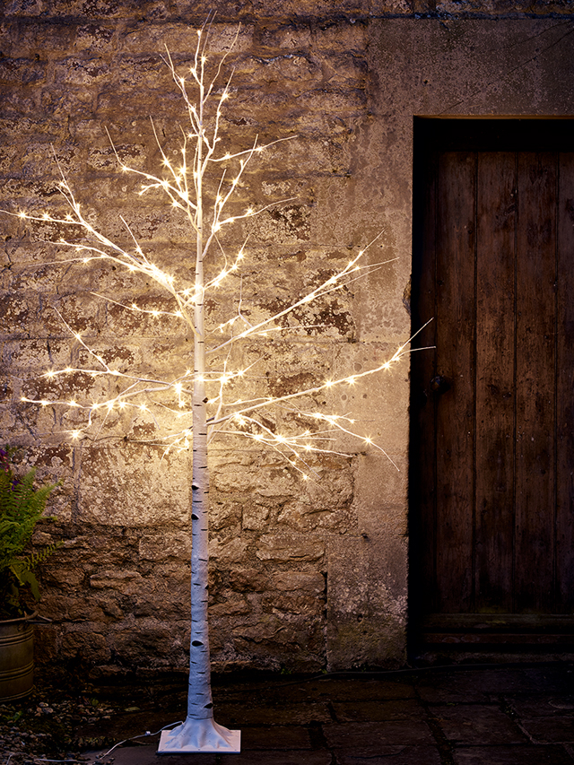 outdoor light up birch tree from Cox & Cox