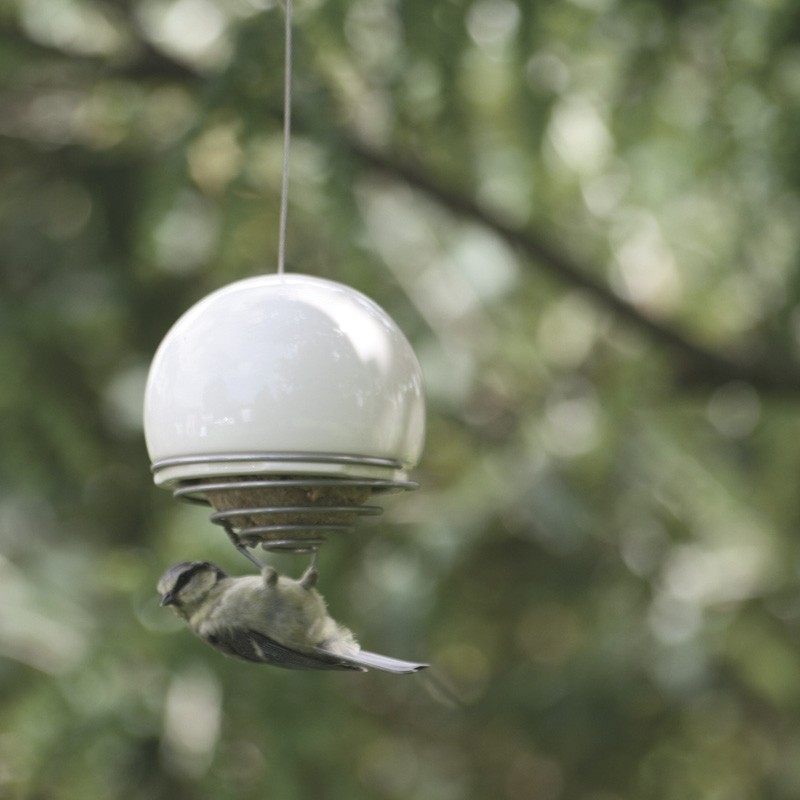 Fat Ball Feeder Lisa Cox Garden Designs Blog