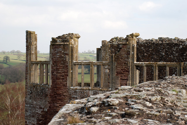 View from the tower at Raglan Castle Lisa Cox Designs