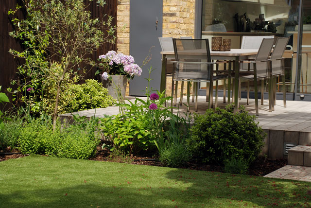 Chiswick garden 6 months on Lisa Cox Garden Designs