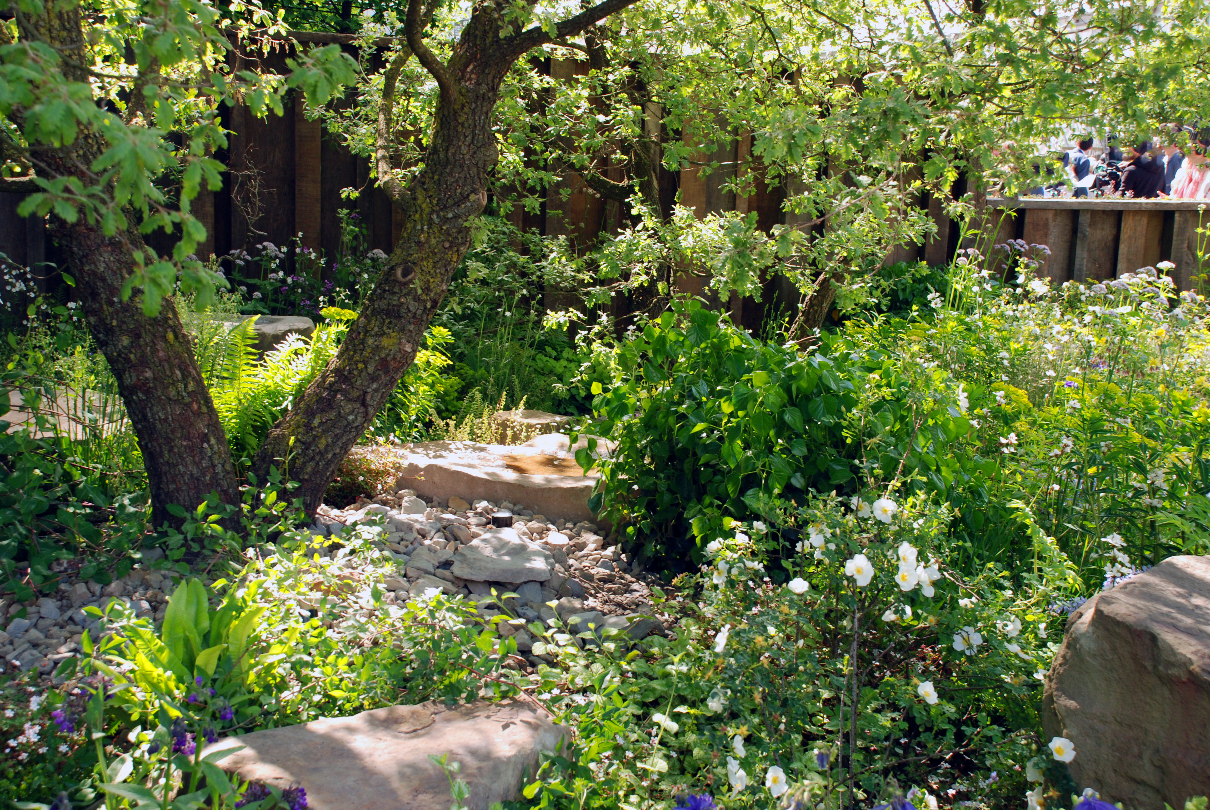 RHS Chelsea 2016 M&G Garden Lisa Cox