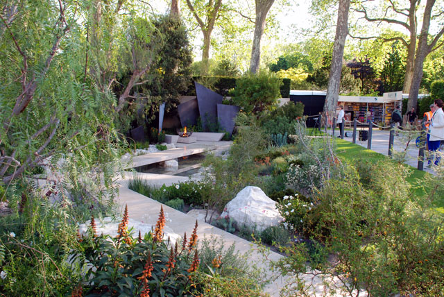 RHS Chelsea 2016 The Telegraph Garden Lisa Cox