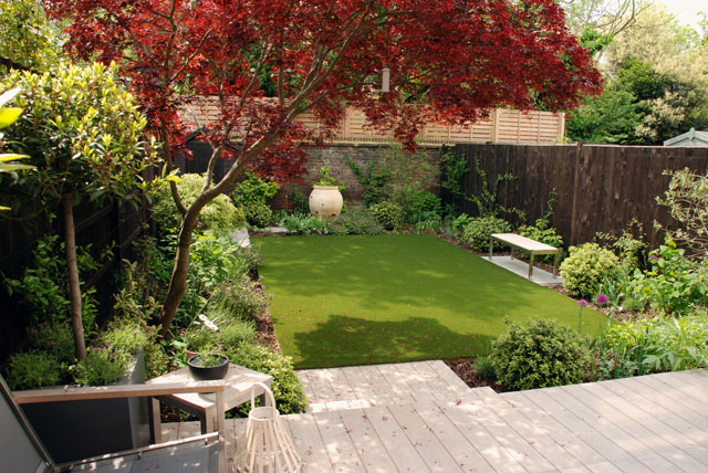 Small London garden 6 months after planting Lisa Cox Designs