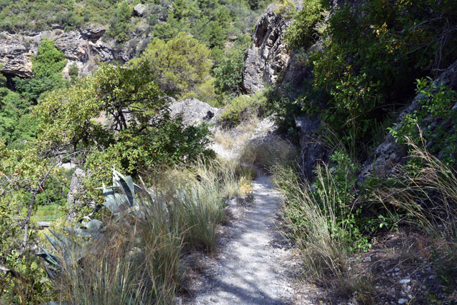 Pathway to the start of the Rio Grande Lisa Cox Garden Designs