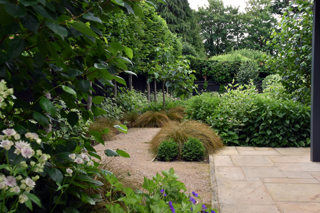 Back garden in Woking Lisa Cox Designs